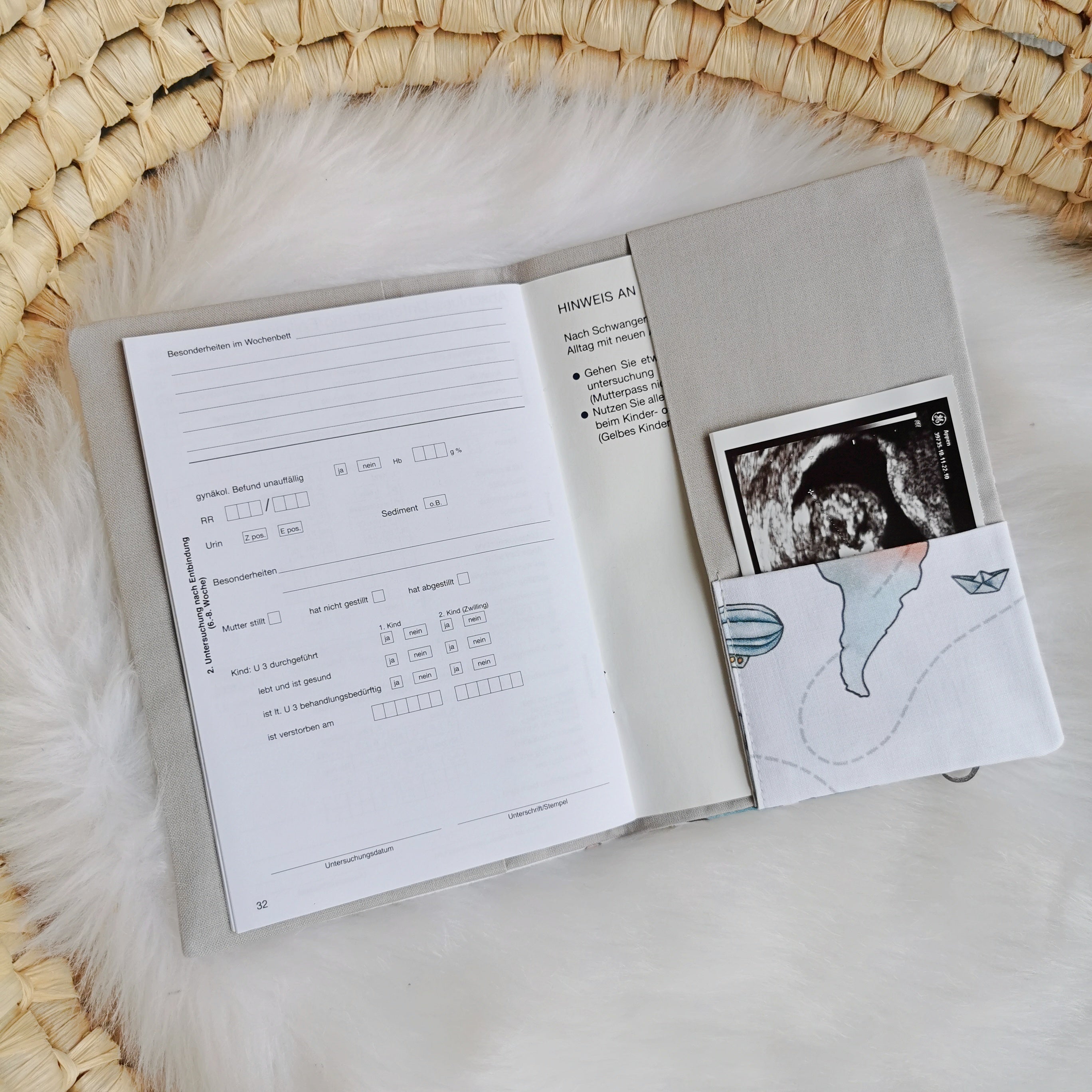 Maternity Passport Cover "World Trip"