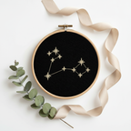 Stickrahmen Pisces Flatlay mit Zweig und Band