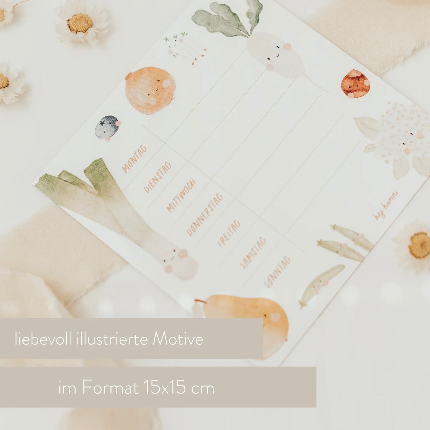 Horaire hebdomadaire réutilisable | Aimant frigo "Fruit", petit