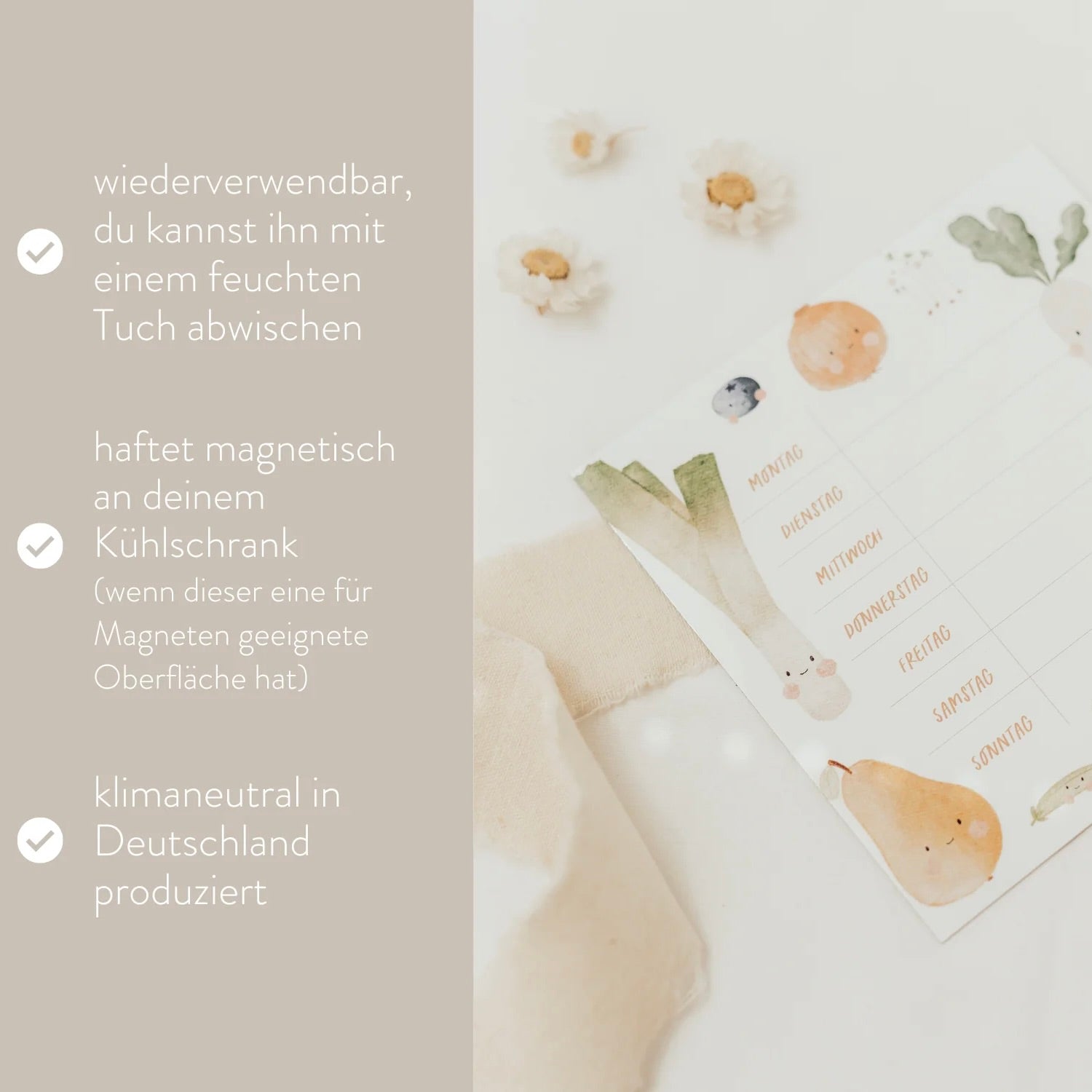 Horaire hebdomadaire réutilisable | Aimant frigo "Fruit", petit