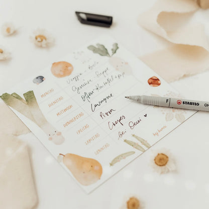 Horaire hebdomadaire réutilisable | Aimant frigo "Fruit", petit