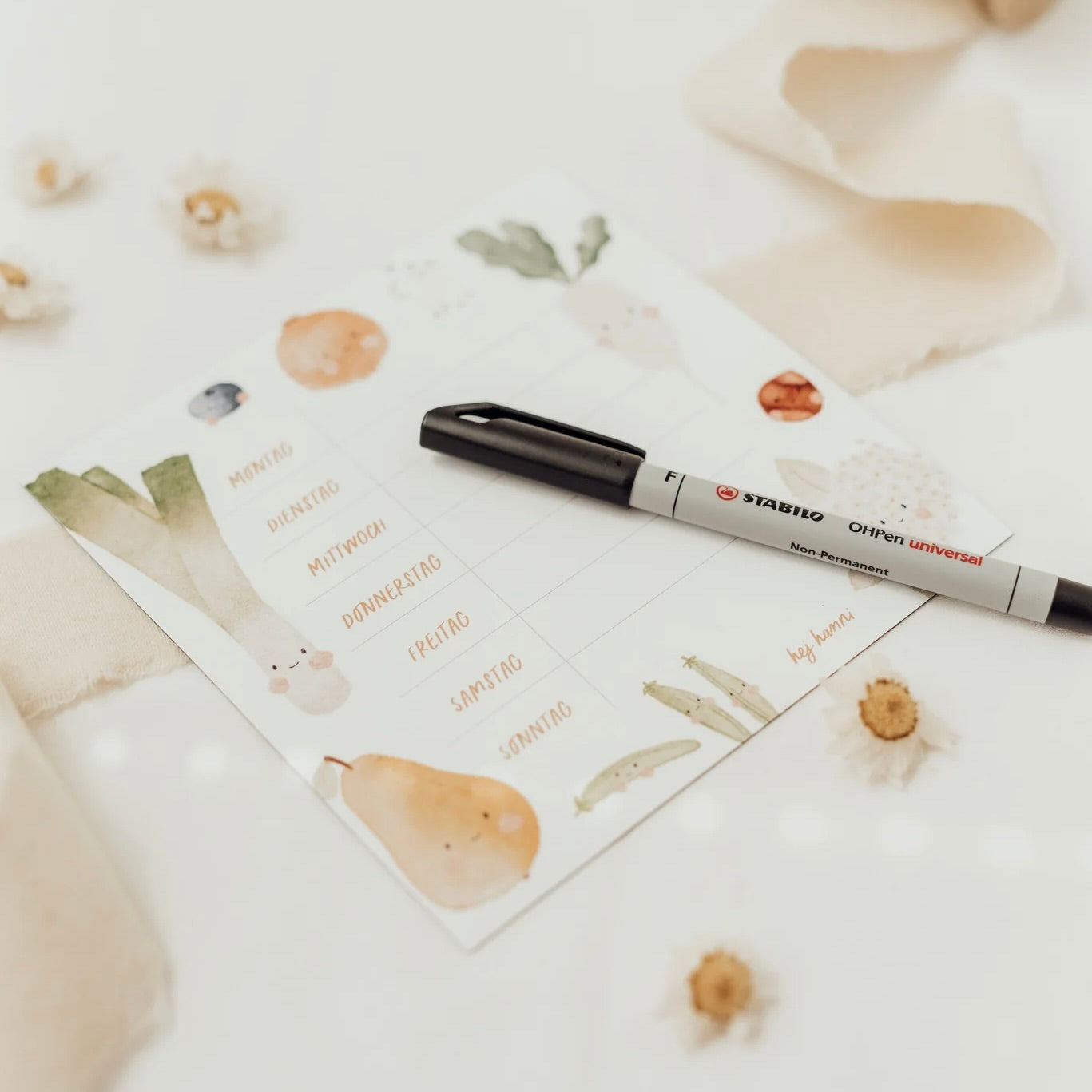 Horaire hebdomadaire réutilisable | Aimant frigo "Fruit", petit