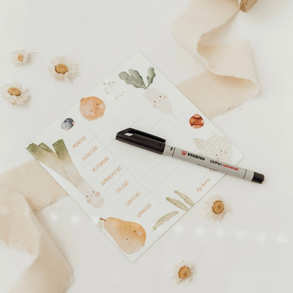 Horaire hebdomadaire réutilisable | Aimant frigo "Fruit", petit