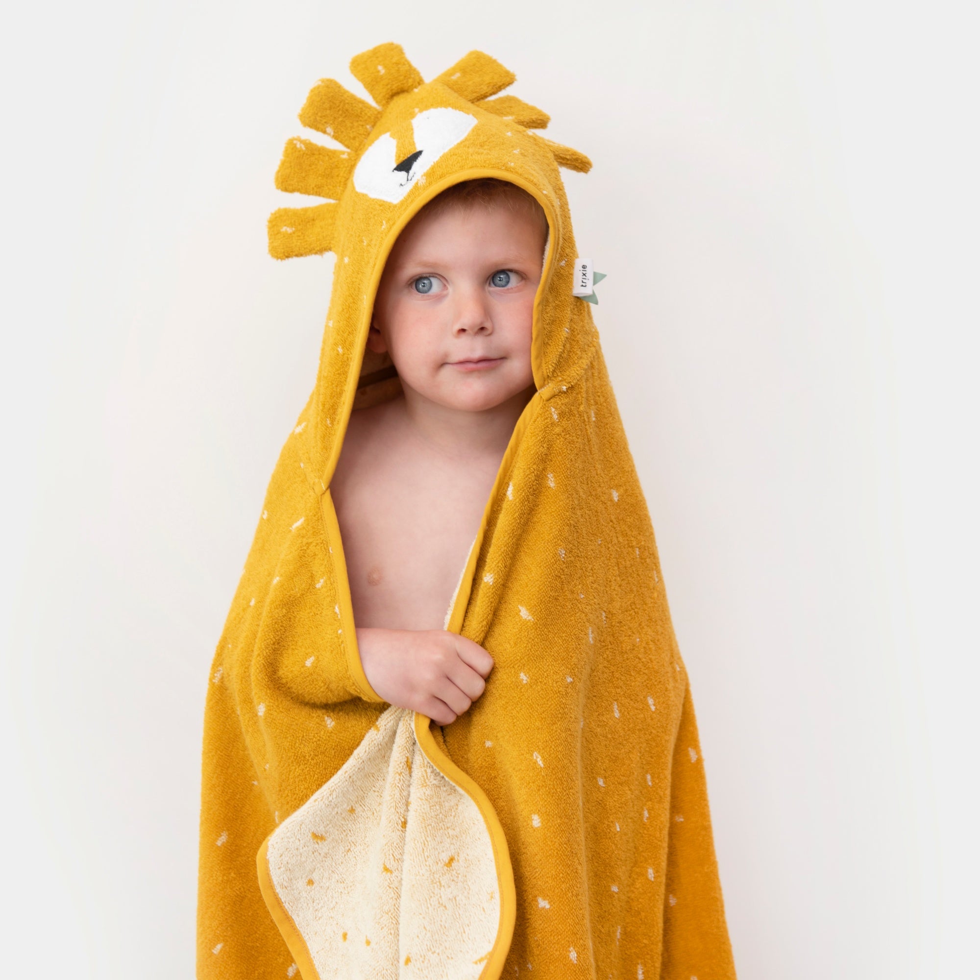 Serviette à Capuche "Monsieur Lion"